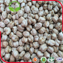 White Kabuli Chickpeas for Cooking